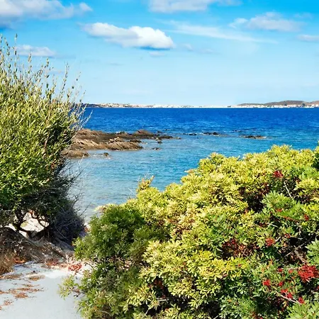 Baia Aranzos Отель